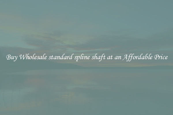 Buy Wholesale standard spline shaft at an Affordable Price