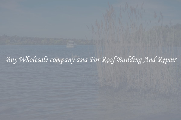 Buy Wholesale company asia For Roof Building And Repair
