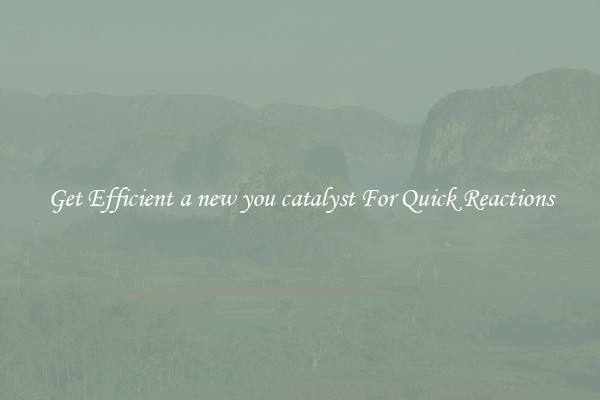 Get Efficient a new you catalyst For Quick Reactions