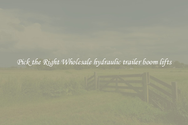 Pick the Right Wholesale hydraulic trailer boom lifts