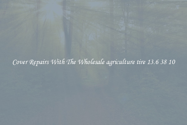  Cover Repairs With The Wholesale agriculture tire 13.6 38 10 