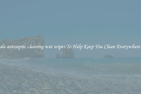 Wholesale antiseptic cleaning wet wipes To Help Keep You Clean Everywhere You Go