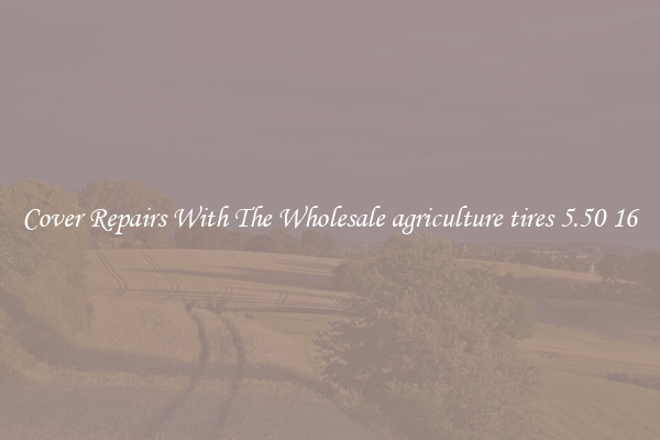  Cover Repairs With The Wholesale agriculture tires 5.50 16 