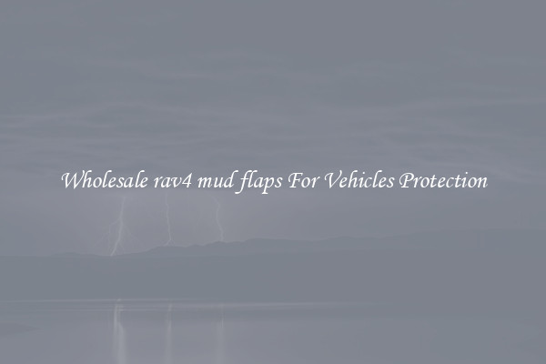 Wholesale rav4 mud flaps For Vehicles Protection