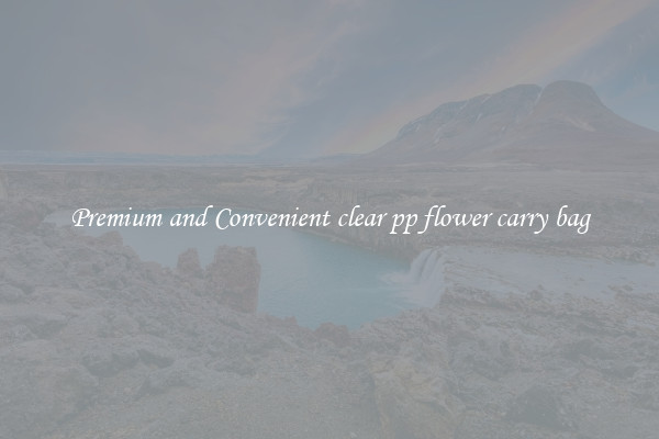 Premium and Convenient clear pp flower carry bag