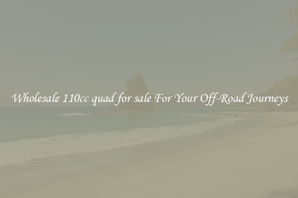 Wholesale 110cc quad for sale For Your Off-Road Journeys