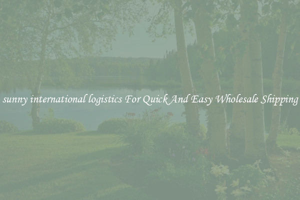 sunny international logistics For Quick And Easy Wholesale Shipping