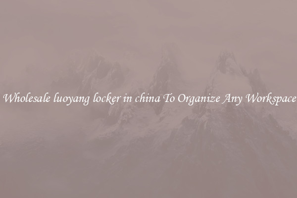 Wholesale luoyang locker in china To Organize Any Workspace