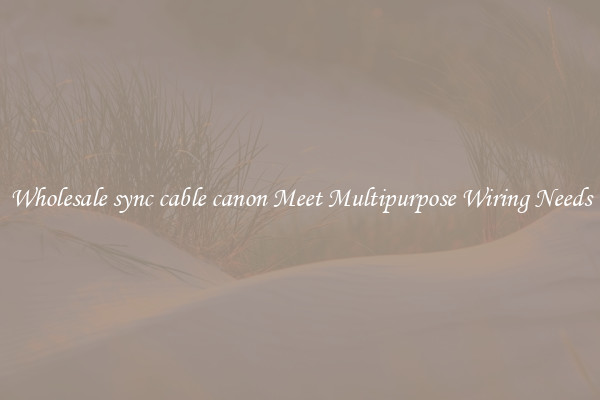 Wholesale sync cable canon Meet Multipurpose Wiring Needs