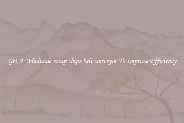 Get A Wholesale scrap chips belt conveyor To Improve Efficiency