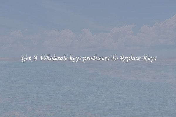 Get A Wholesale keys producers To Replace Keys