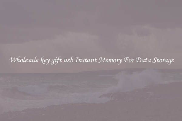 Wholesale key gift usb Instant Memory For Data Storage