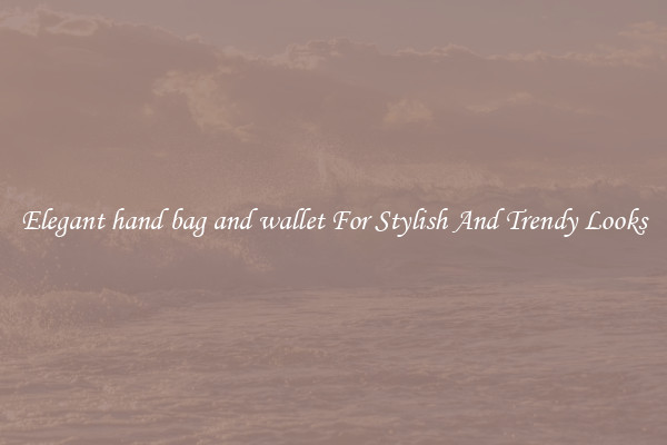 Elegant hand bag and wallet For Stylish And Trendy Looks