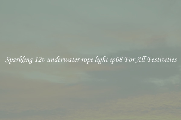 Sparkling 12v underwater rope light ip68 For All Festivities