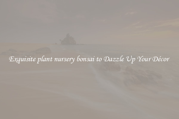 Exquisite plant nursery bonsai to Dazzle Up Your Décor 