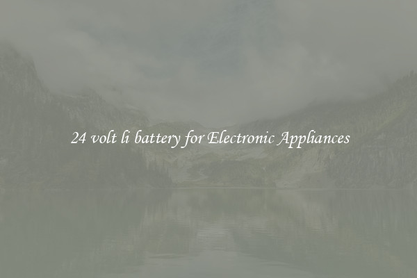 24 volt li battery for Electronic Appliances